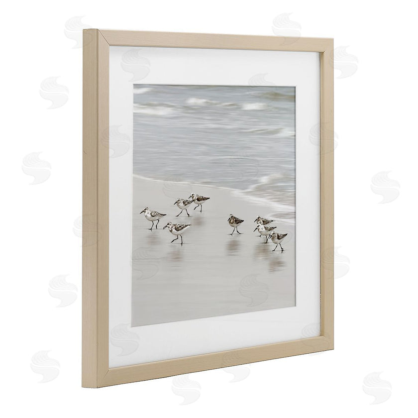 Natalie Carpentieri | Beach Birds Scurrying