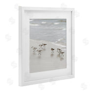Natalie Carpentieri | Beach Birds Scurrying