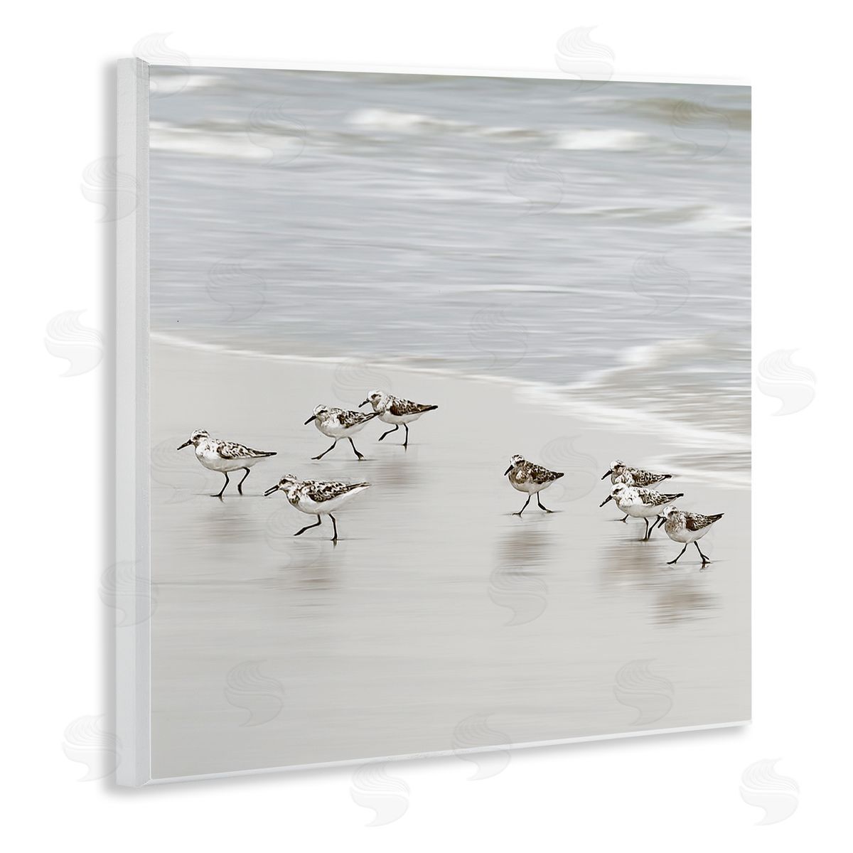 Natalie Carpentieri Beach Birds Scurrying Canvas Wall Art Print