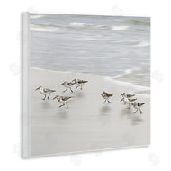 Natalie Carpentieri | Beach Birds Scurrying