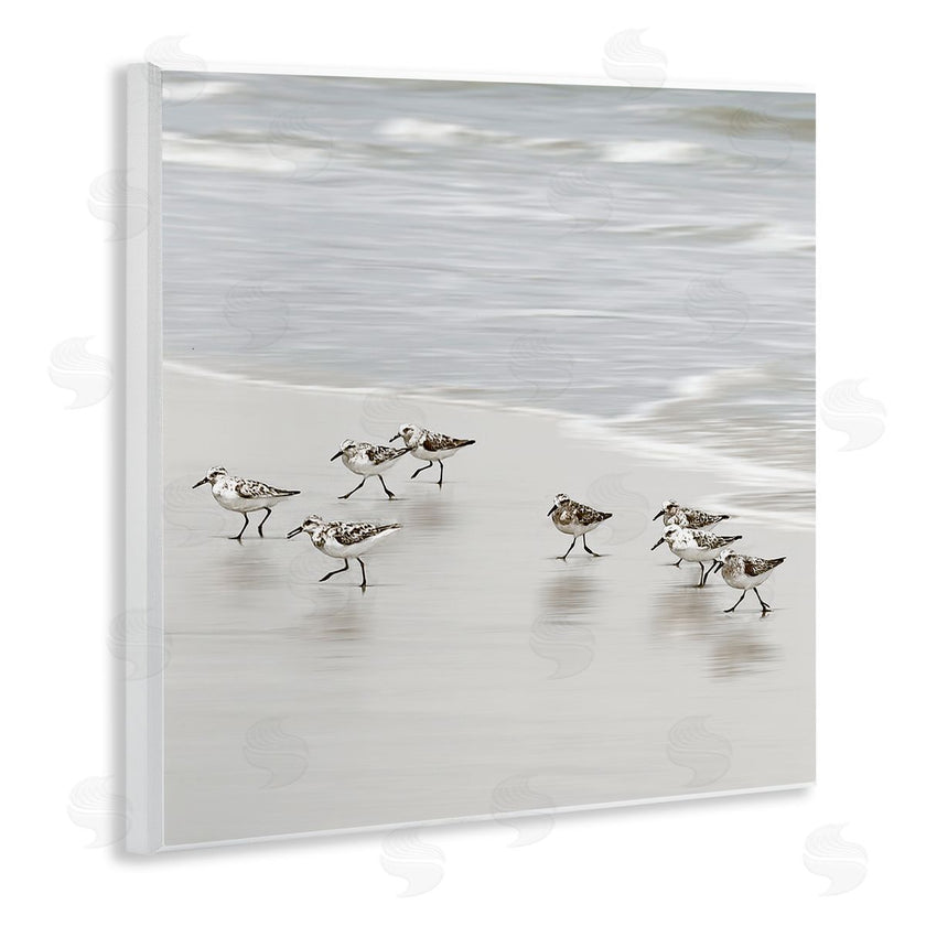 Natalie Carpentieri | Beach Birds Scurrying
