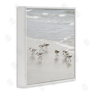 Natalie Carpentieri | Beach Birds Scurrying