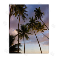Danita Delimont | Bohol Island Palms
