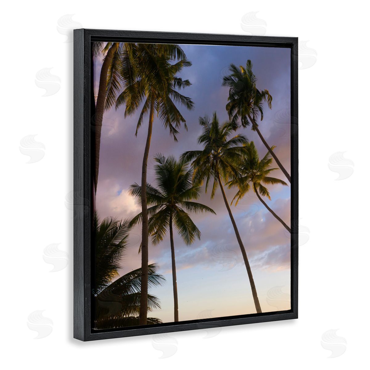 Danita Delimont Bohol Island Palms Canvas Wall Art Print