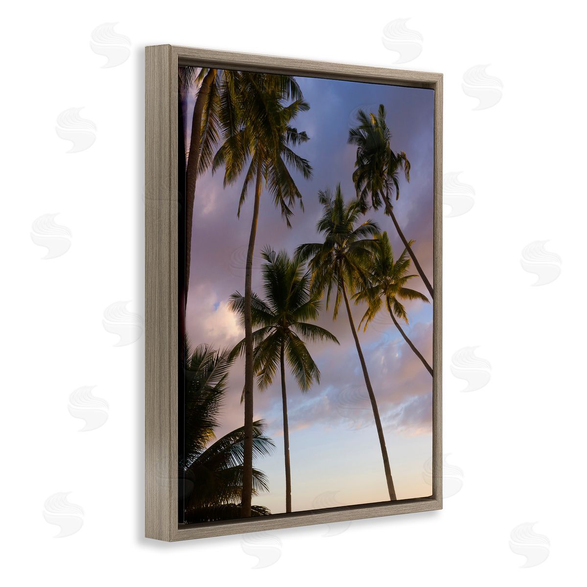 Danita Delimont Bohol Island Palms Canvas Wall Art Print