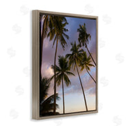 Danita Delimont | Bohol Island Palms