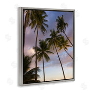 Danita Delimont | Bohol Island Palms