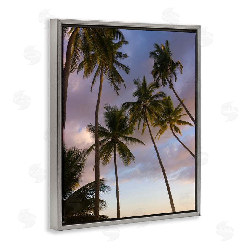 Danita Delimont | Bohol Island Palms
