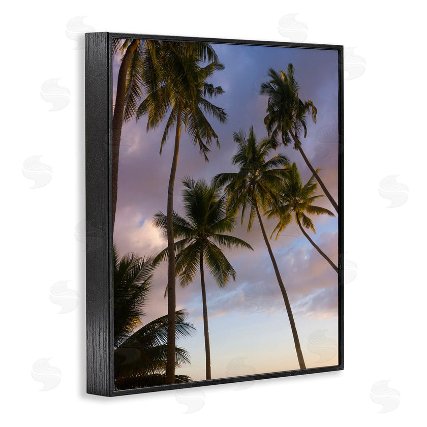 Danita Delimont | Bohol Island Palms