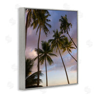 Danita Delimont | Bohol Island Palms