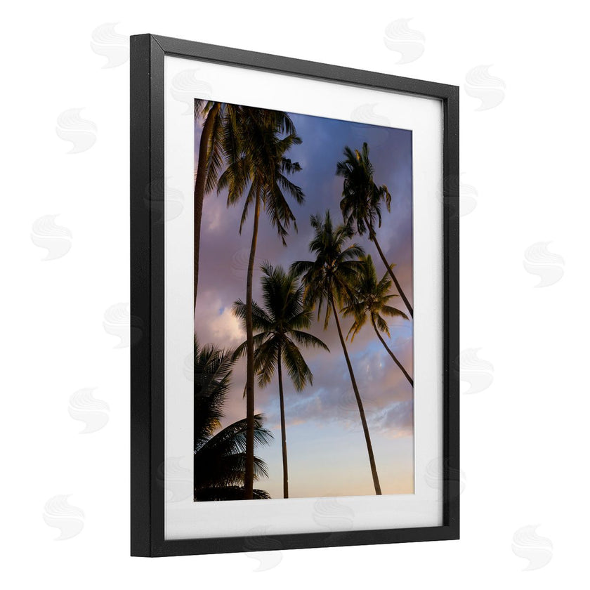 Danita Delimont | Bohol Island Palms