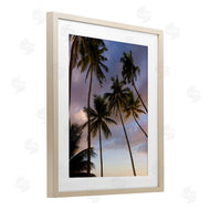 Danita Delimont | Bohol Island Palms