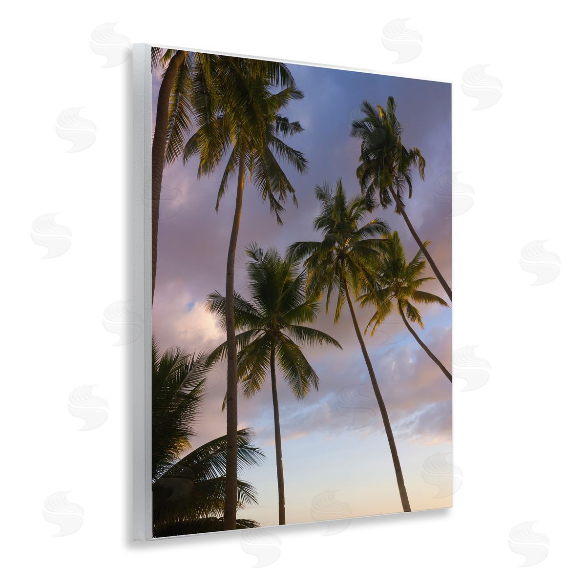 Danita Delimont Bohol Island Palms Canvas Wall Art Print