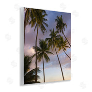 Danita Delimont | Bohol Island Palms