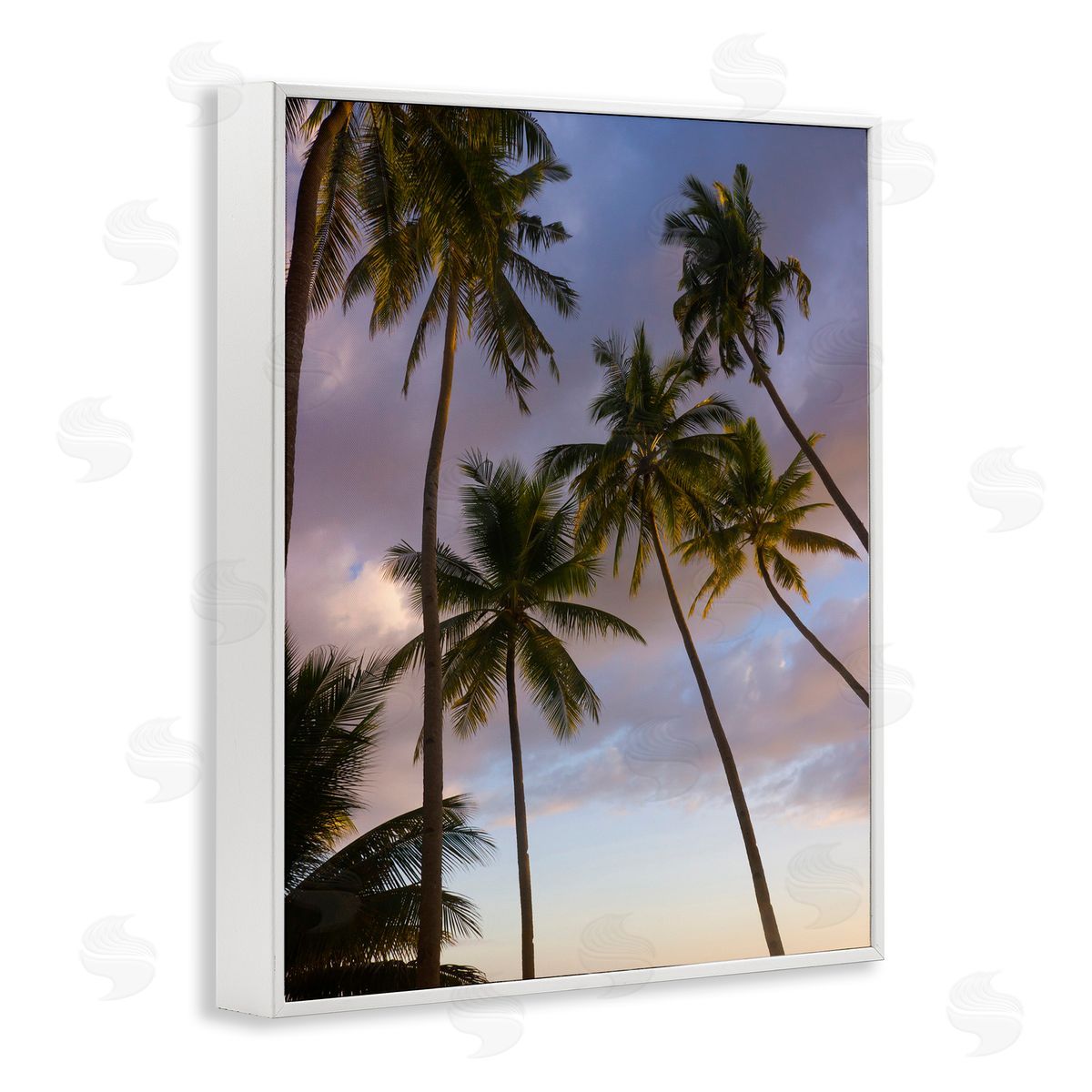 Danita Delimont Bohol Island Palms Canvas Wall Art Print