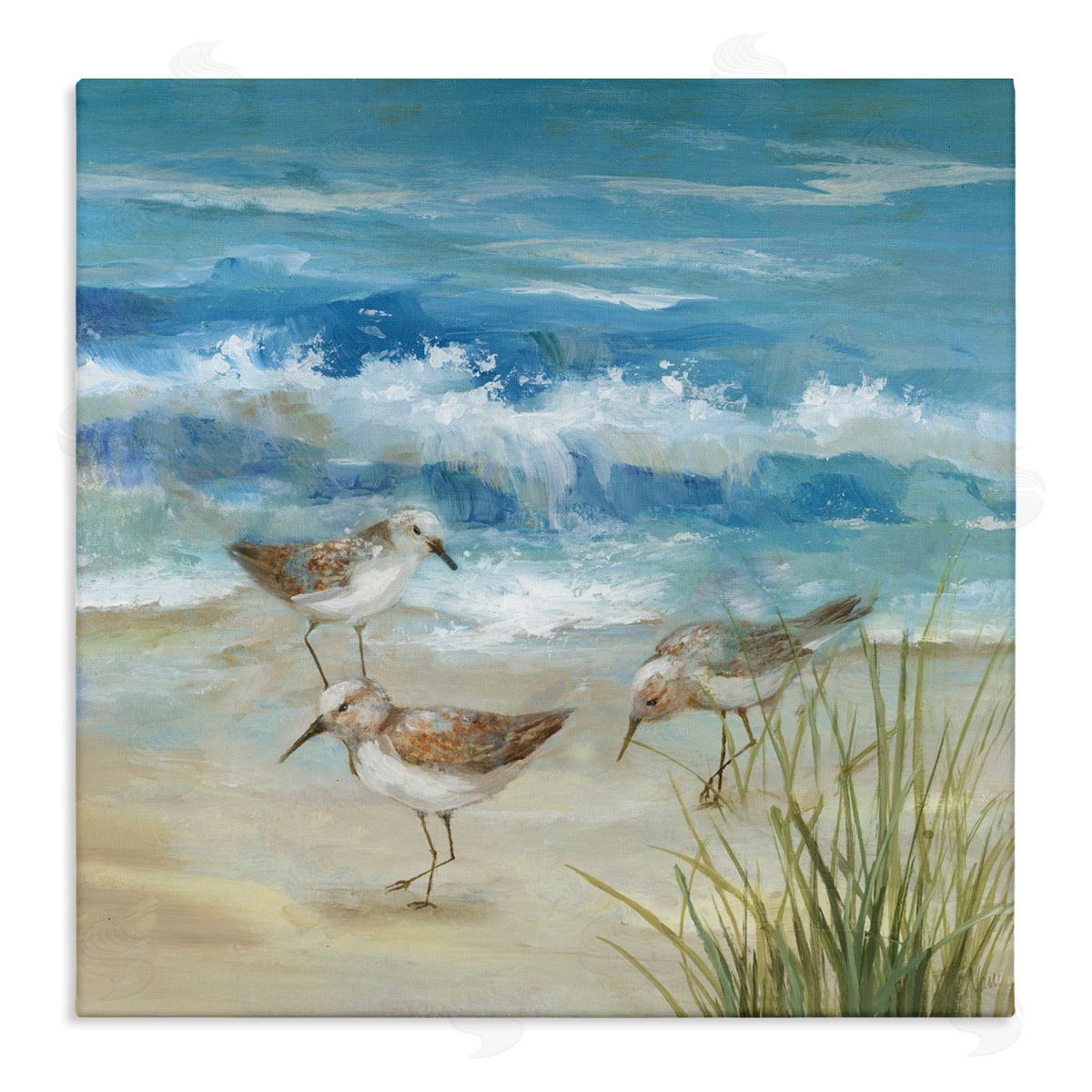 Nan Beach Sandpiper Gathering Canvas Wall Art Print