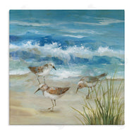 Nan | Beach Sandpiper Gathering