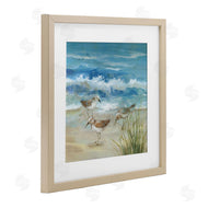 Nan | Beach Sandpiper Gathering