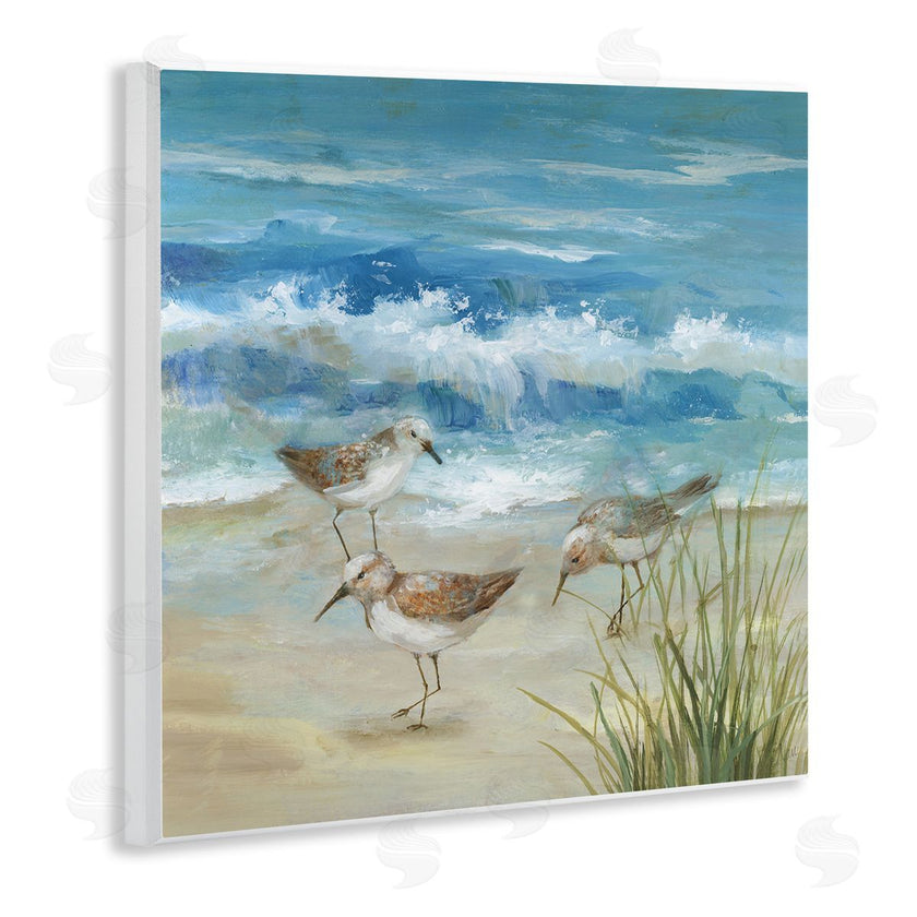 Nan | Beach Sandpiper Gathering