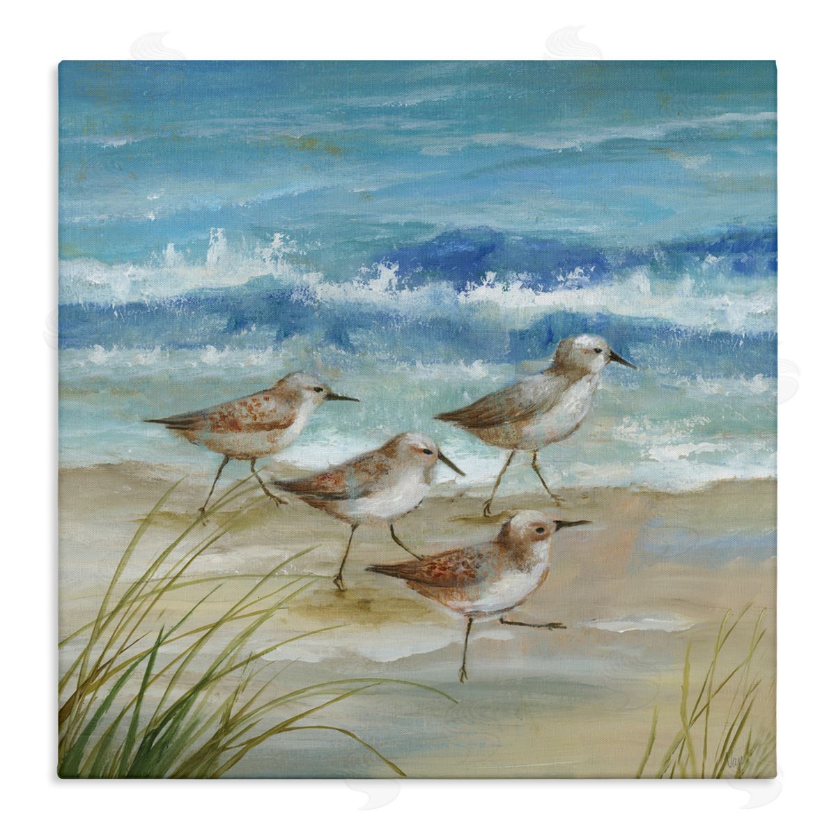 Nan Sandpiper Gathering View Canvas Wall Art Print