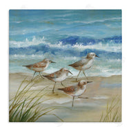 Nan | Sandpiper Gathering View