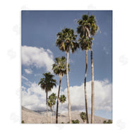Danita Delimont | Palm Springs Looming Trees