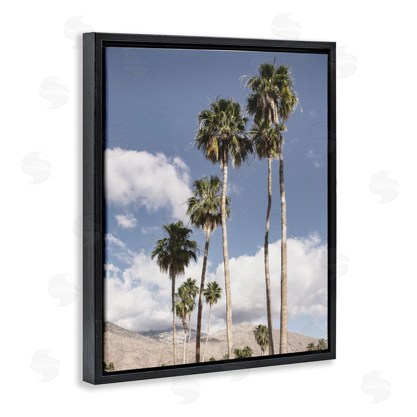 Danita Delimont | Palm Springs Looming Trees