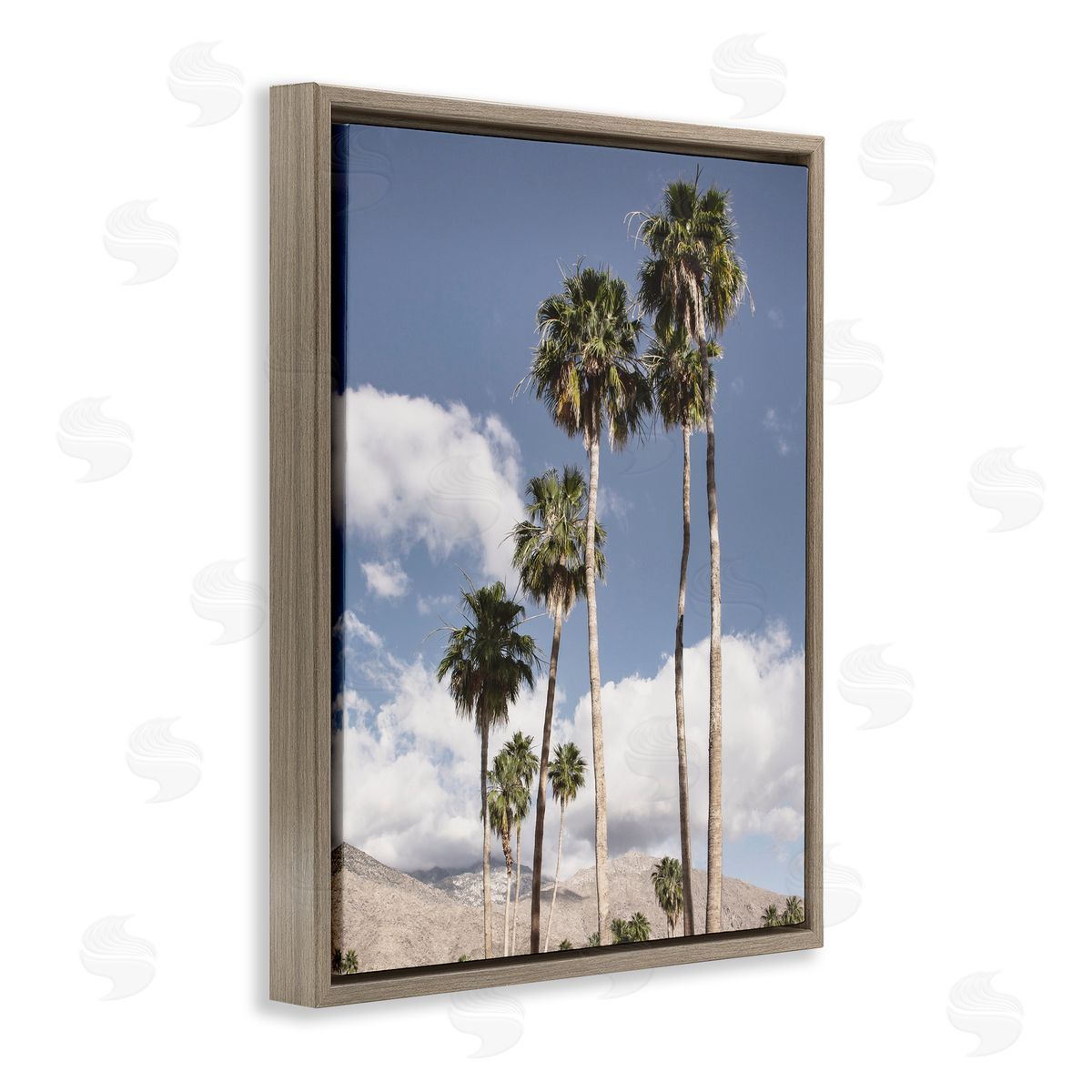 Danita Delimont Palm Springs Looming Trees Canvas Wall Art Print