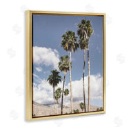 Danita Delimont | Palm Springs Looming Trees