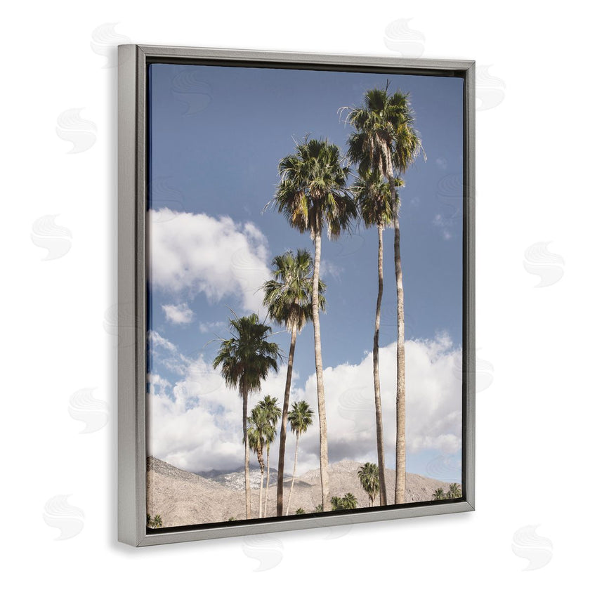 Danita Delimont | Palm Springs Looming Trees