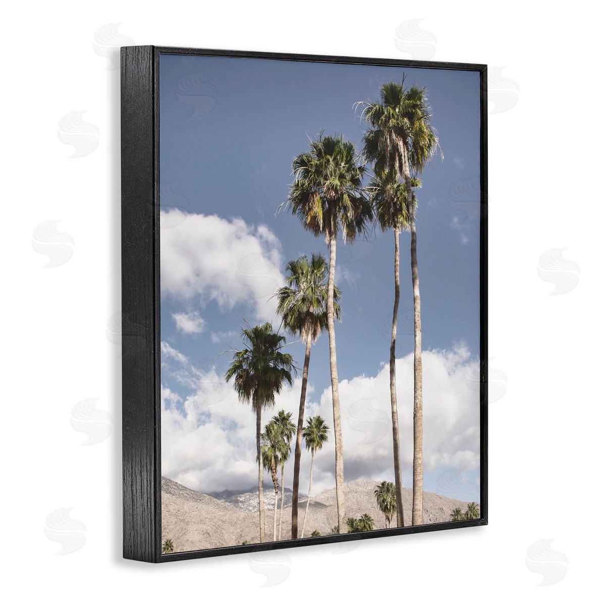 Danita Delimont Palm Springs Looming Trees Canvas Wall Art Print