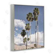 Danita Delimont | Palm Springs Looming Trees