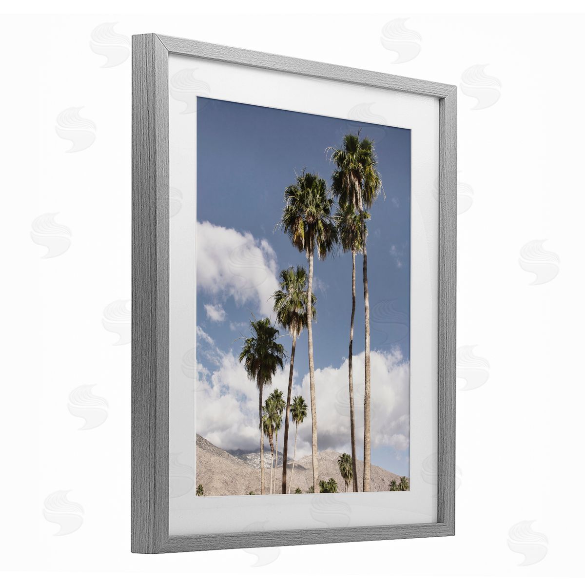 Danita Delimont Palm Springs Looming Trees Canvas Wall Art Print