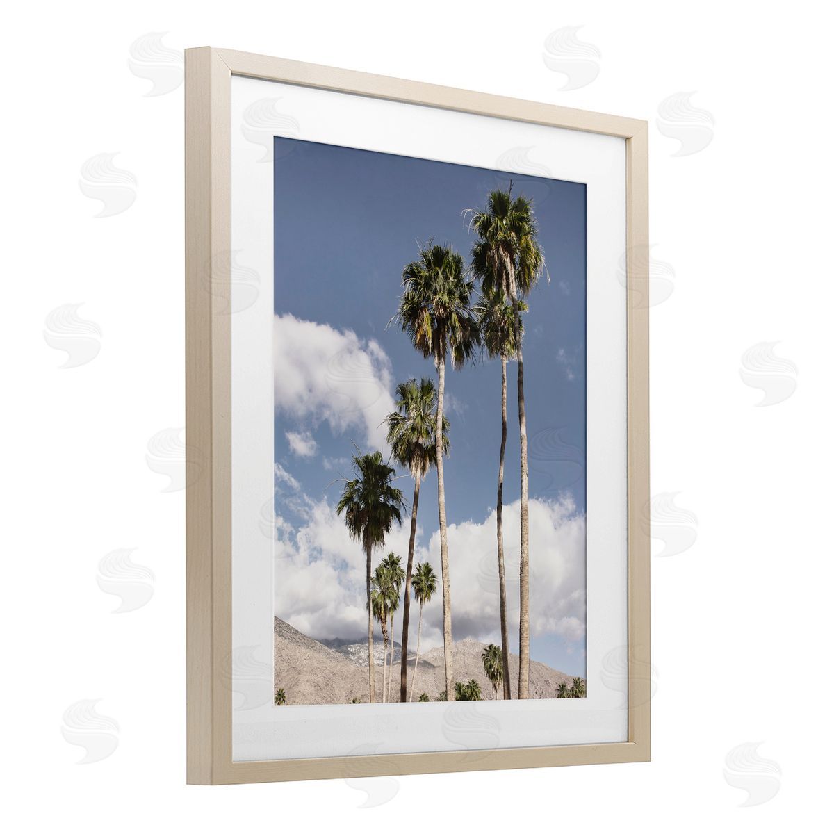 Danita Delimont Palm Springs Looming Trees Canvas Wall Art Print