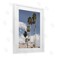 Danita Delimont | Palm Springs Looming Trees