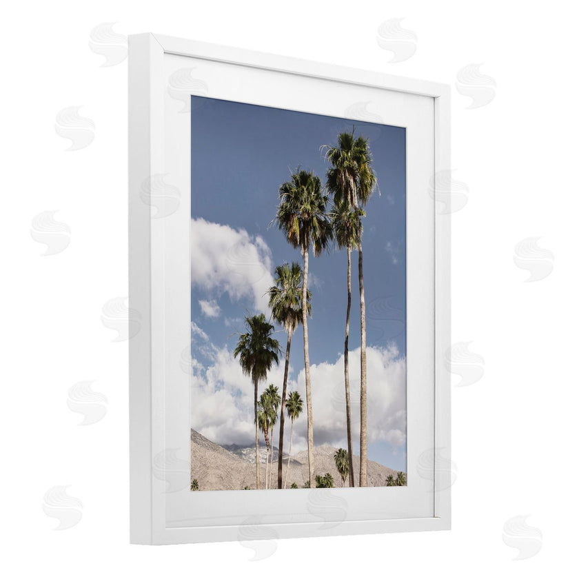 Danita Delimont | Palm Springs Looming Trees