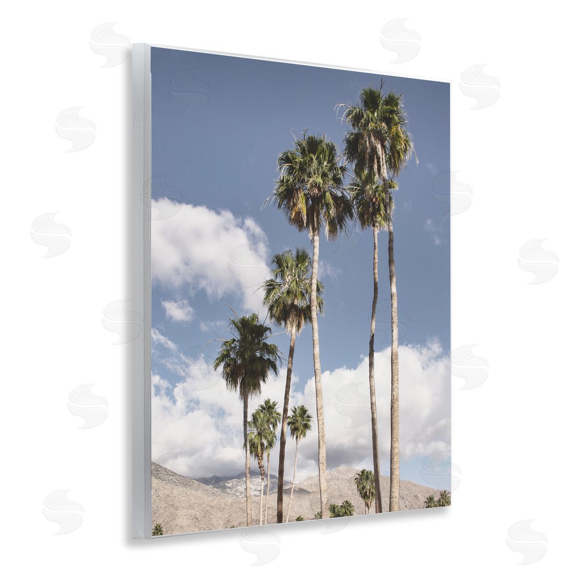 Danita Delimont Palm Springs Looming Trees Canvas Wall Art Print