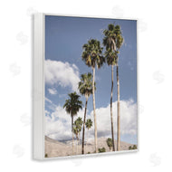 Danita Delimont | Palm Springs Looming Trees