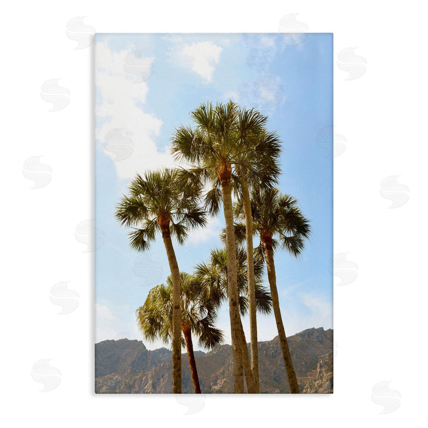 Natalie Carpentieri | Vertical Mountain Palms