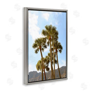 Natalie Carpentieri | Vertical Mountain Palms