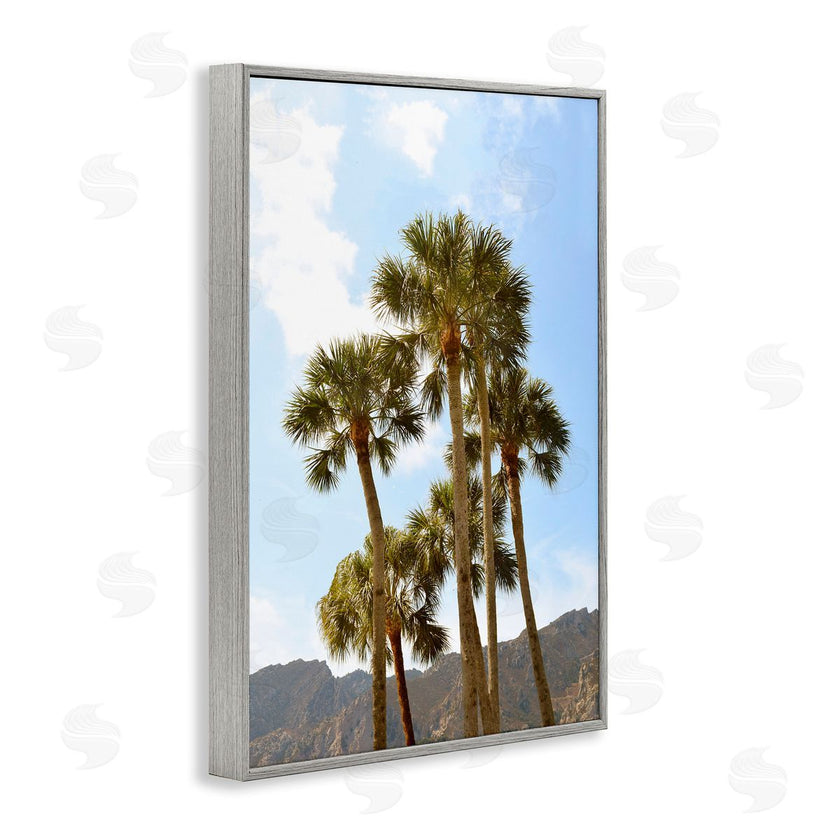 Natalie Carpentieri | Vertical Mountain Palms