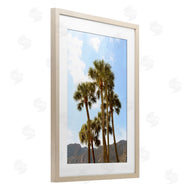 Natalie Carpentieri | Vertical Mountain Palms