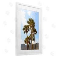 Natalie Carpentieri | Vertical Mountain Palms