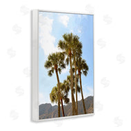 Natalie Carpentieri | Vertical Mountain Palms