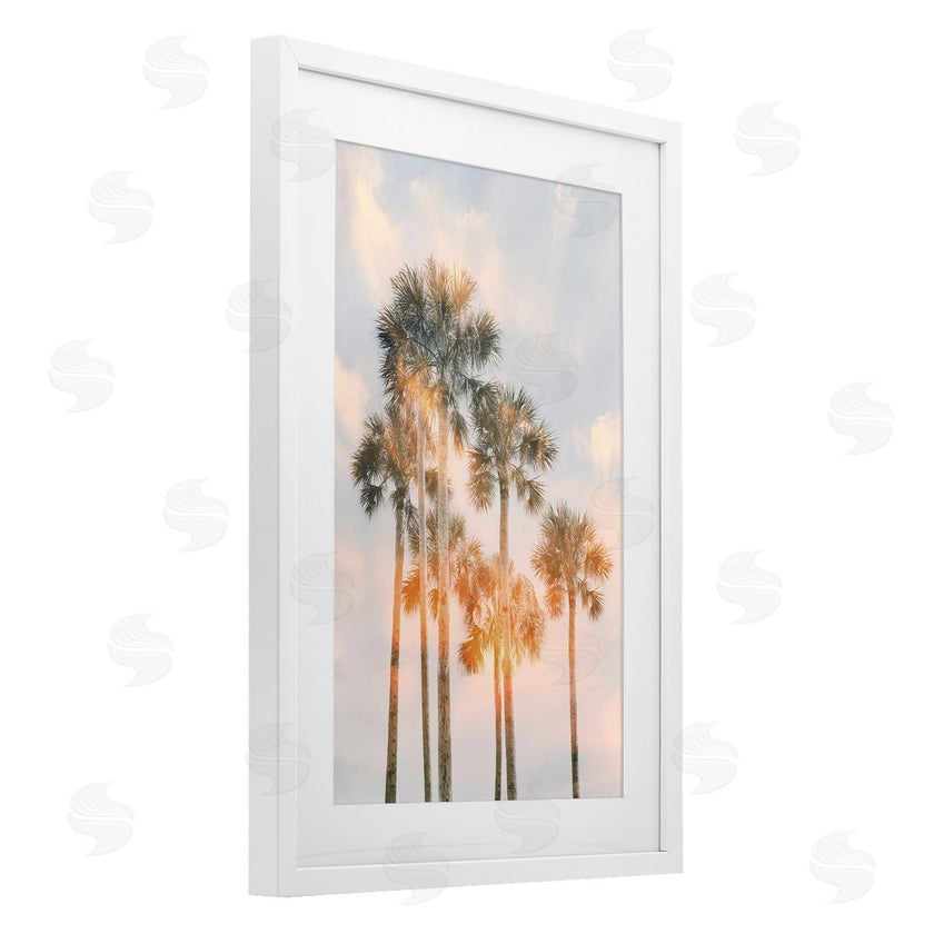 Natalie Carpentieri | Pastel Palm Reflections