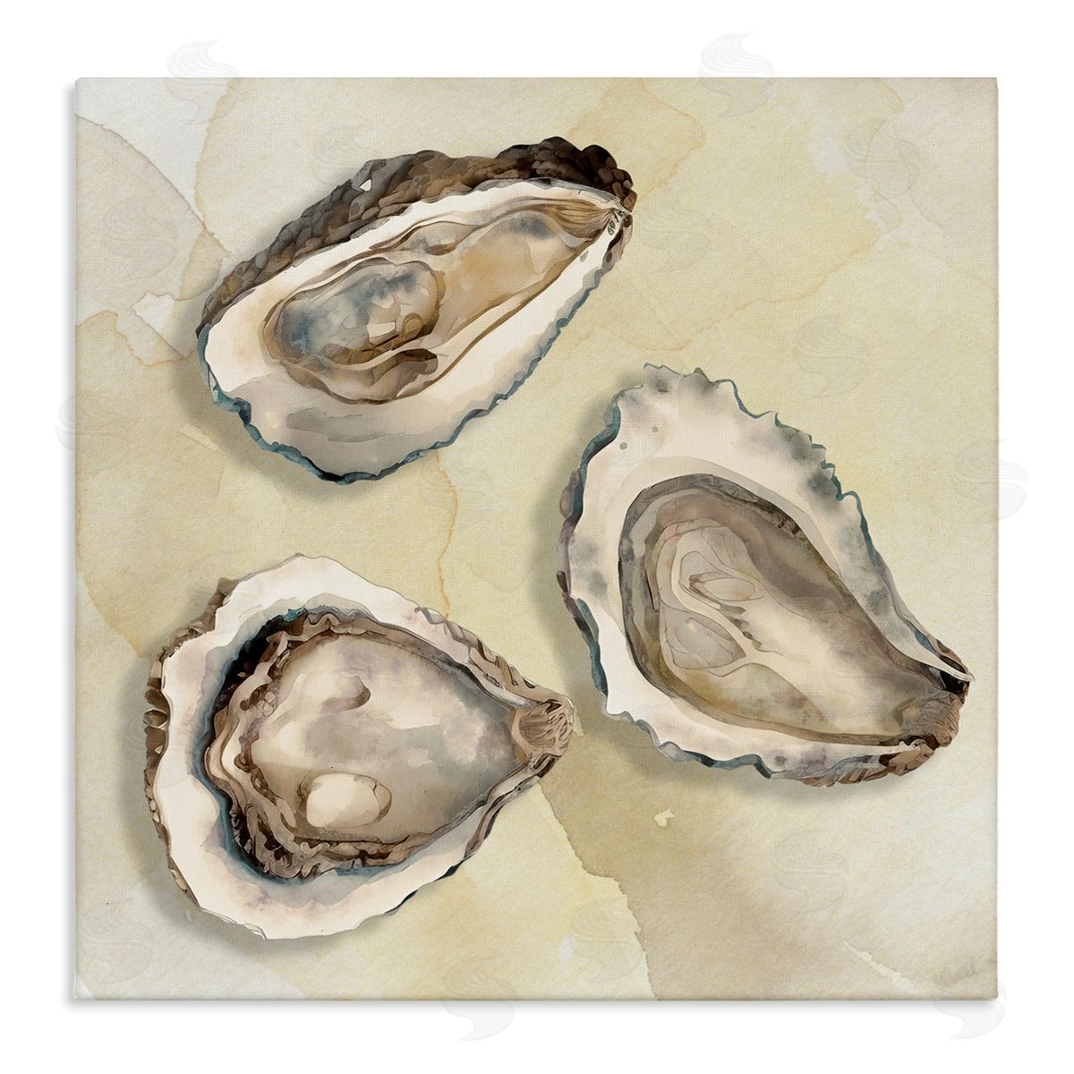 CAD Designs Beige Oyster Trio Canvas Wall Art Print