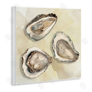 CAD Designs | Beige Oyster Trio