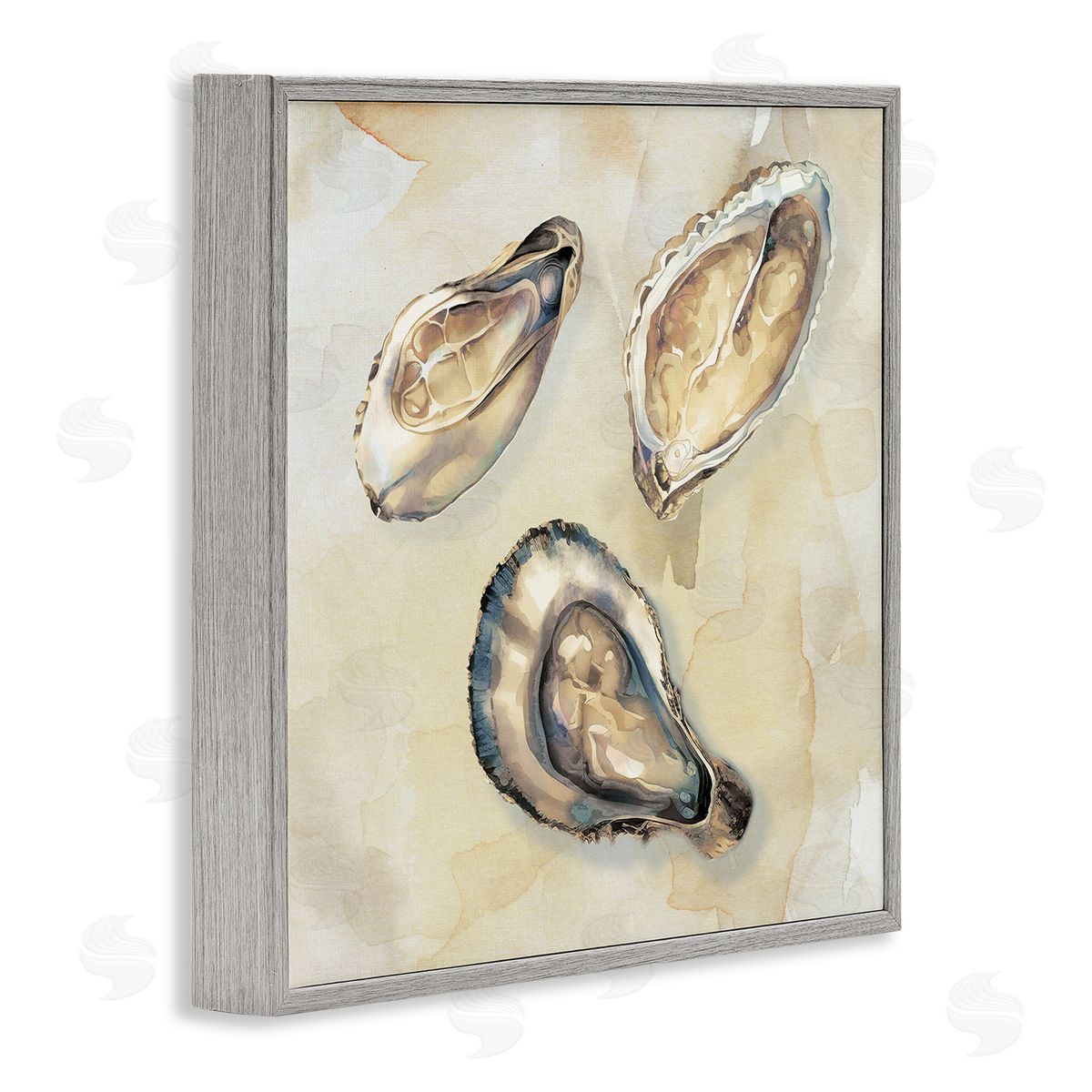 CAD Designs Oyster Trio on Beige Gray Framed Giclee Art Print