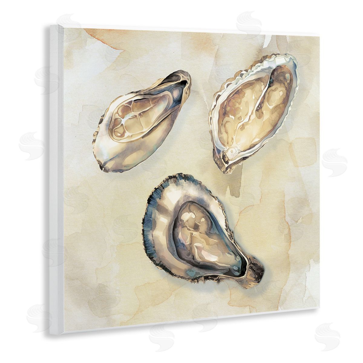 CAD Designs Oyster Trio on Beige Wall Plaque Art Print
