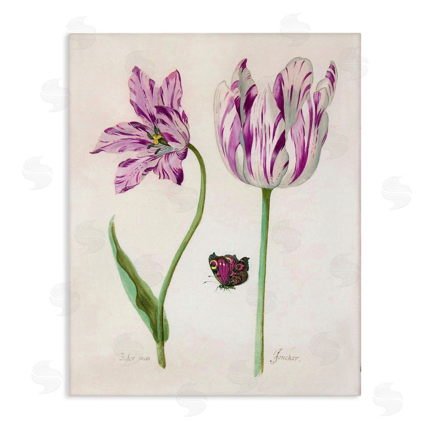 Jacob Marell | Two Tulips Purple Flowers